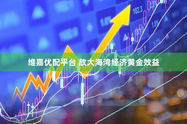 维嘉优配平台 放大海湾经济黄金效益