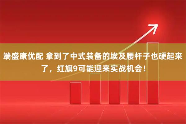 端盛康优配 拿到了中式装备的埃及腰杆子也硬起来了，红旗9可能迎来实战机会！
