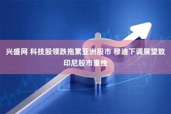 兴盛网 科技股领跌拖累亚洲股市 穆迪下调展望致印尼股市重挫