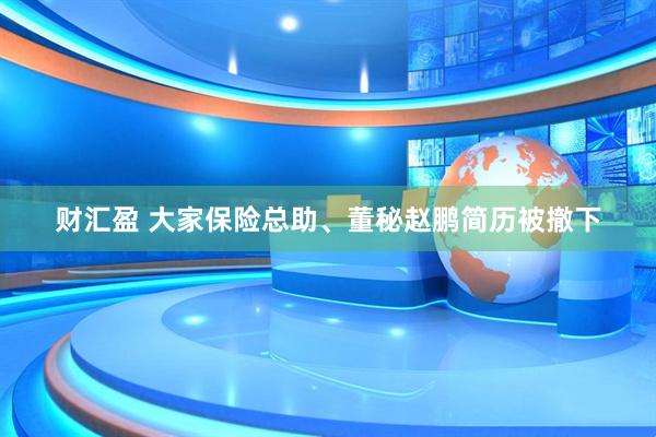 财汇盈 大家保险总助、董秘赵鹏简历被撤下