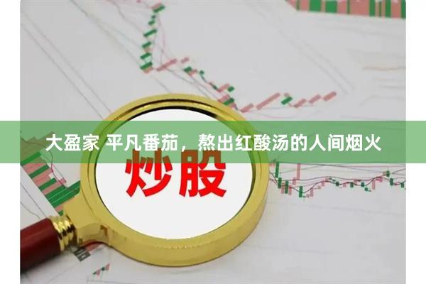 大盈家 平凡番茄，熬出红酸汤的人间烟火