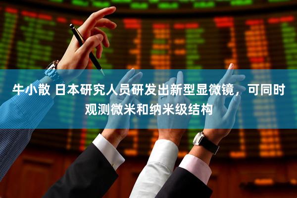 牛小散 日本研究人员研发出新型显微镜，可同时观测微米和纳米级结构