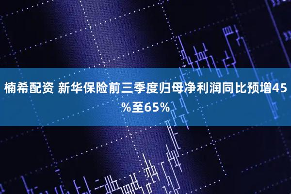 楠希配资 新华保险前三季度归母净利润同比预增45%至65%